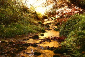 Ruisseau à Craponne