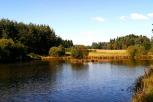 Lac à Beaune sur Arzon