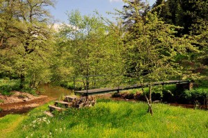 Passerelle sur la Senouire à Saint-Pal