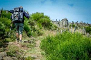 chemin de compostelle GR 65 - pelerins randonneur