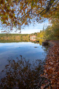 Le lac du Bouchet