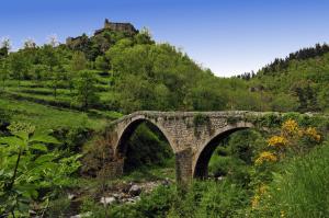 SAINT-ANDRE-DE-CHALENCON - Le Pont du Diable sous Chalencon 2 © Chris Bertholet-1200x798 