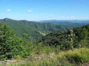 La Corniche des Cévennes.