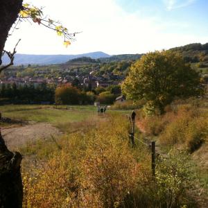 Leca Annick retour sur Rosières