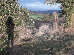 Pichon Katy à proximité du Monteil