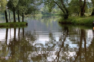 Elisabeth_Magant_Aurec-sur-Loire_lieu dit le nautic-800x533