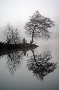 Pauline_Chautard_Les étangs_Bas-en-Basset