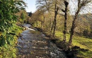 CHANTEUGES Rivière La Desges - C. Bertholet 