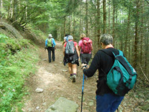 Club de rando Les Trottes Sentiers - marche en forêt