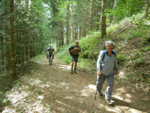 Club de rando Les Trottes Sentiers - marche en forêt -2